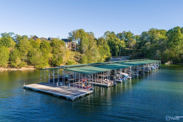 dock area featuring a water view