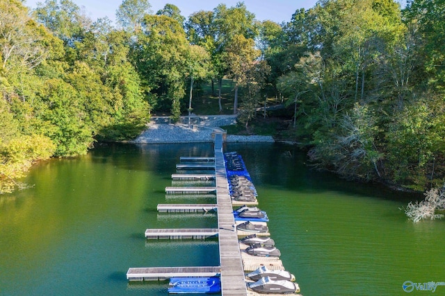 view of dock with a water view