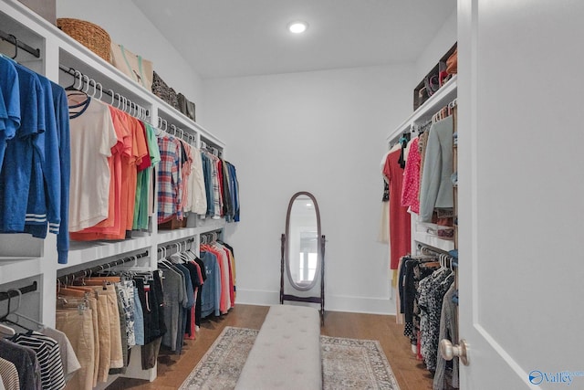 241 Farmhouse Dr, Madison, AL 35757 - spacious closet with wood finished floors