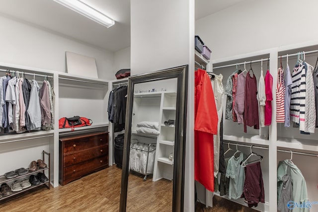 108 NW Rockhaven Dr, Madison, AL 35757 - walk in closet with wood finished floors