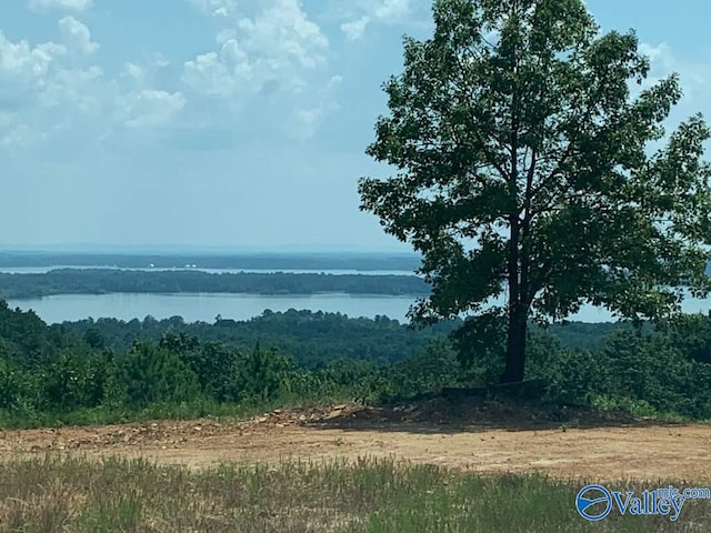 Listing photo 3 for LOT61 County Road 767 # 61, Cedar Bluff AL 35959