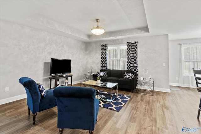 living room featuring baseboards, wood finished floors, and a raised ceiling