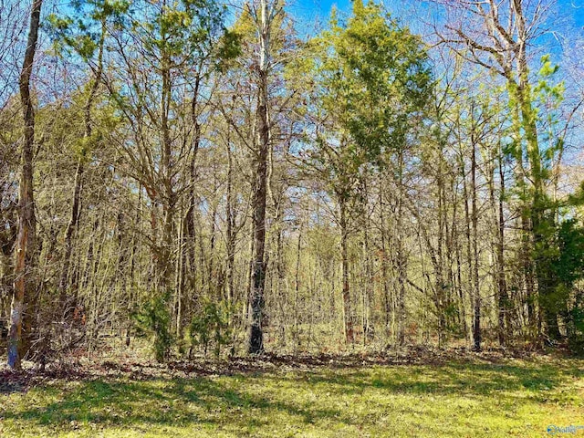 7.95 Crusher Rd, Decatur AL, 35603 land for sale