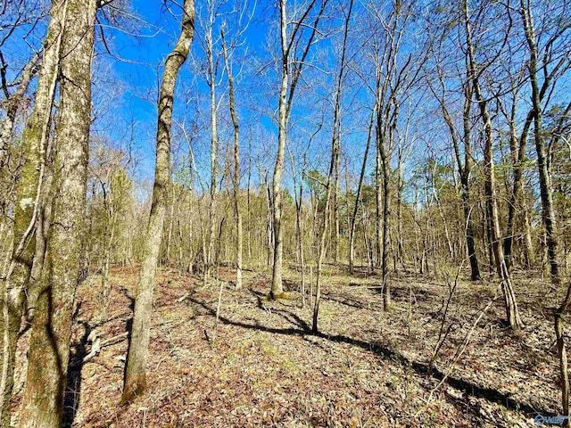 Listing photo 2 for 7.95 Crusher Rd, Decatur AL 35603