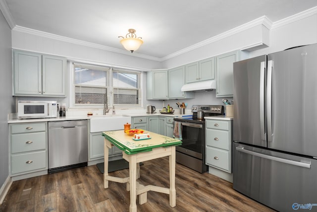 kitchen with crown molding, stainless steel appliances, dark hardwood / wood-style flooring, and sink