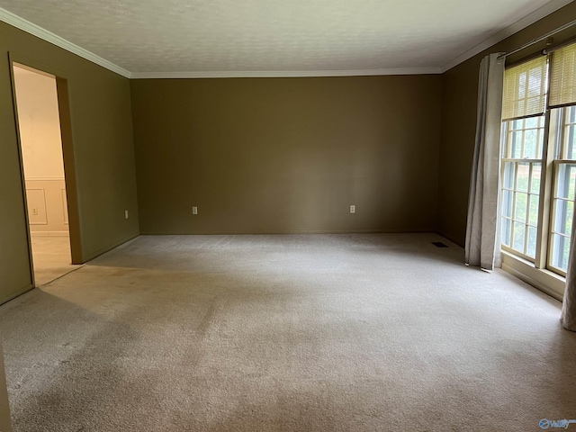 carpeted empty room with ornamental molding