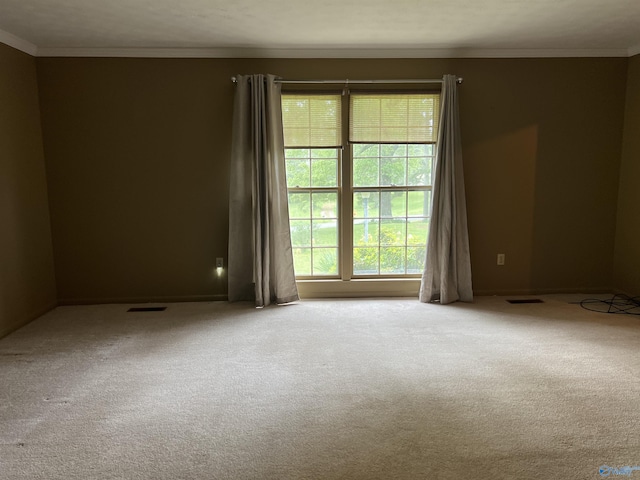 carpeted empty room with baseboards, ornamental molding, and a healthy amount of sunlight