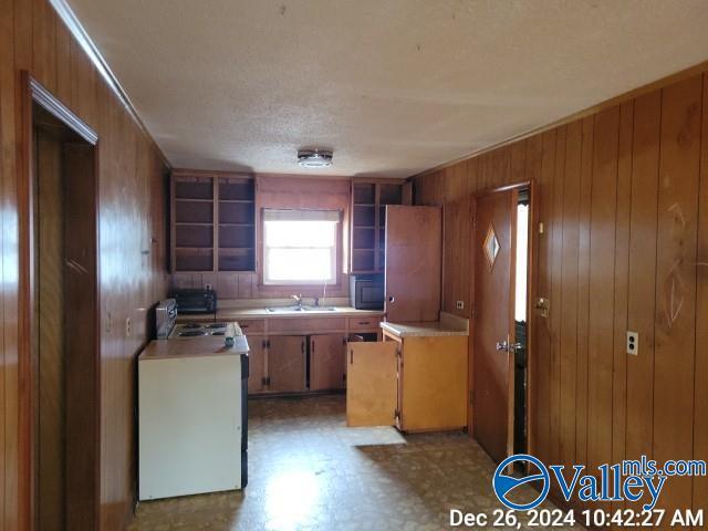 kitchen with wood walls and sink