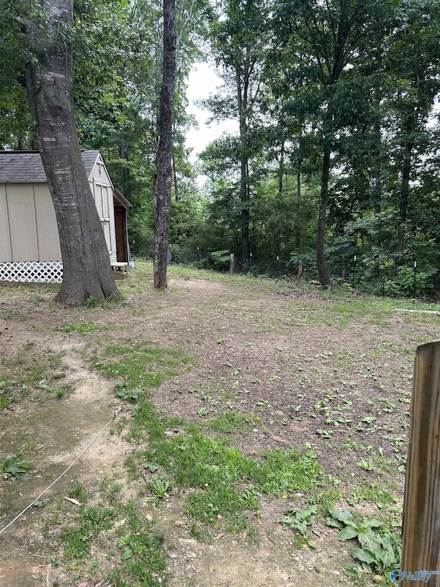 view of yard with a storage shed