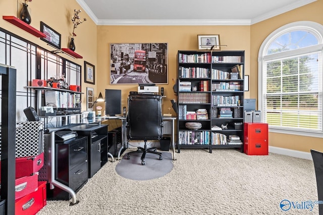 126 Mattie Ct, Madison, AL 35756 - office space with healthy amount of natural light, carpet, and ornamental molding