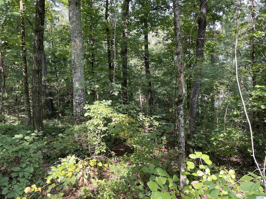 0.53/-ACRES Mountain Top Rd, Southside, AL 35907