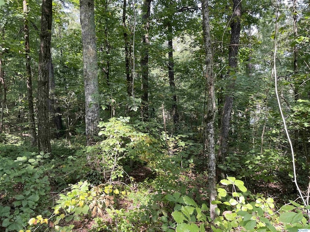 0.53/-ACRES Mountain Top Rd, Southside, AL 35907
