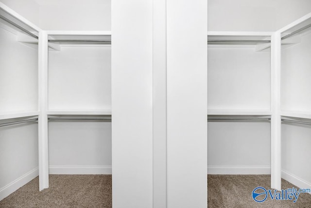 spacious closet with light carpet