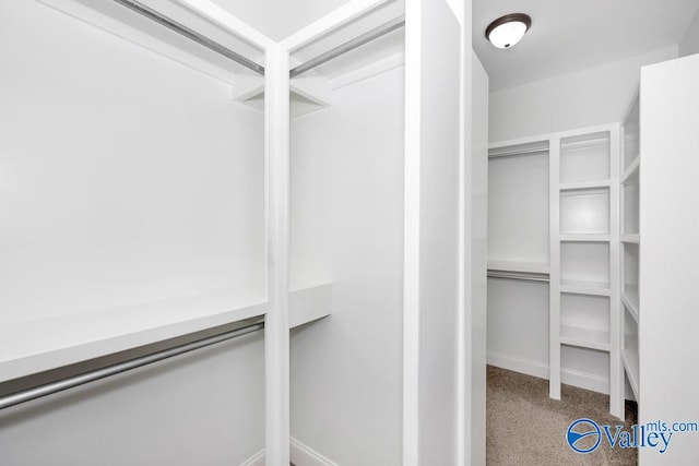 spacious closet featuring carpet flooring