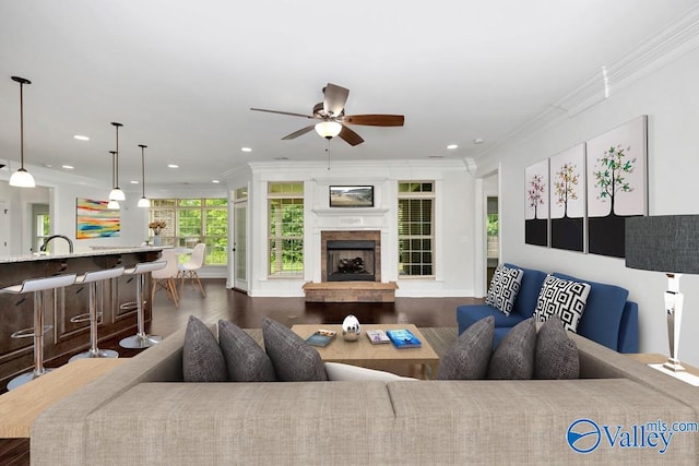 living room with ornamental molding, ceiling fan, dark hardwood / wood-style floors, and a high end fireplace