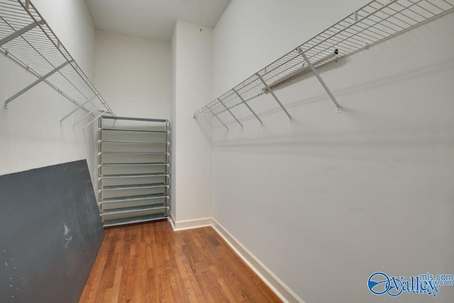 walk in closet with dark hardwood / wood-style flooring