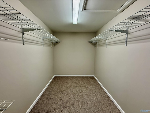 spacious closet with carpet floors