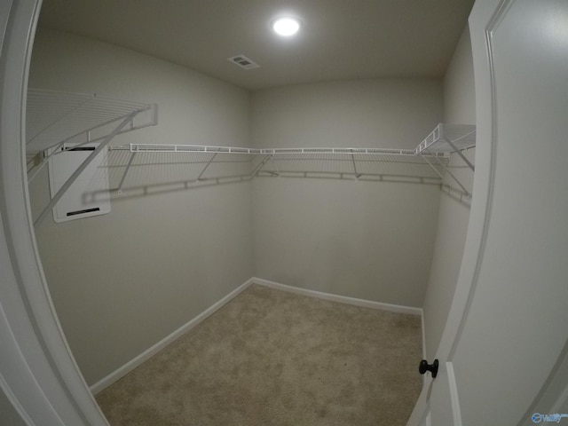 walk in closet featuring light carpet