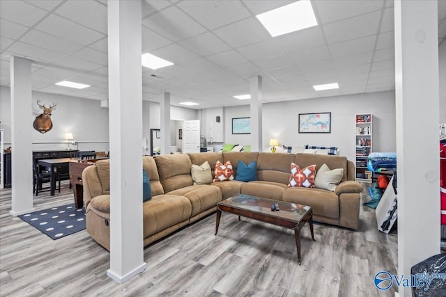 living room with a paneled ceiling and light hardwood / wood-style flooring