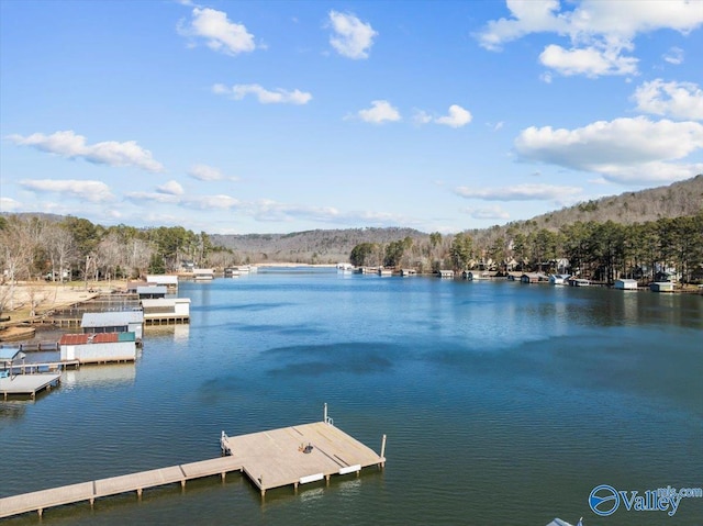 dock area featuring a water view