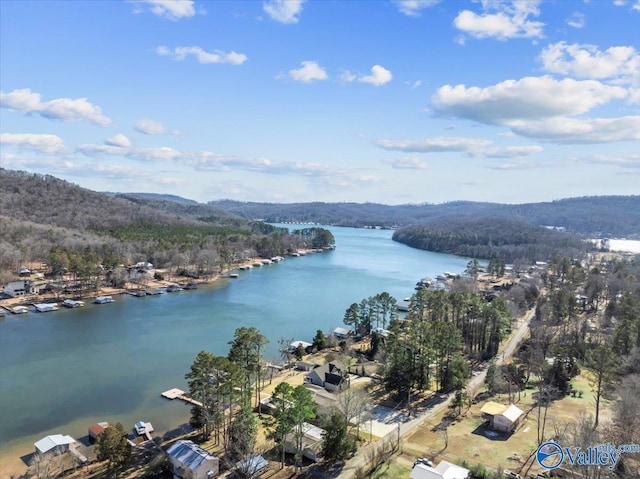 birds eye view of property with a water view