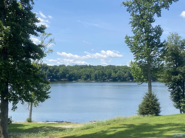 property view of water with a wooded view