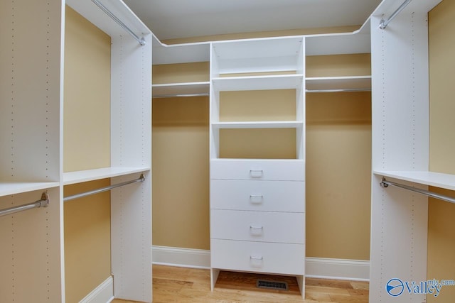 walk in closet with light wood-type flooring and visible vents