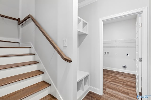 staircase with wood-type flooring