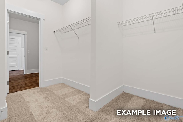 walk in closet featuring carpet