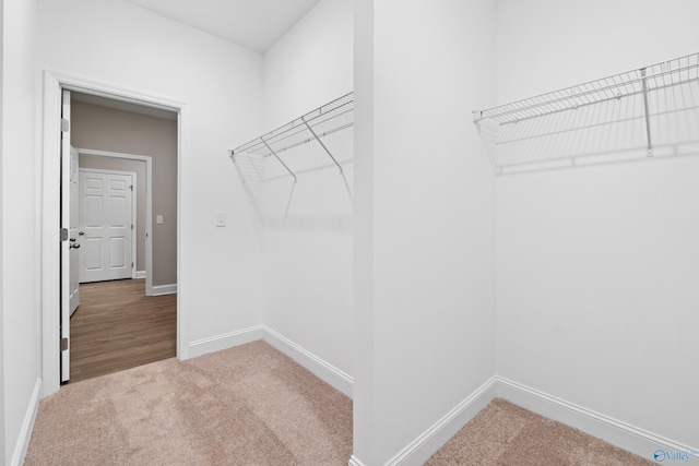 spacious closet with carpet floors