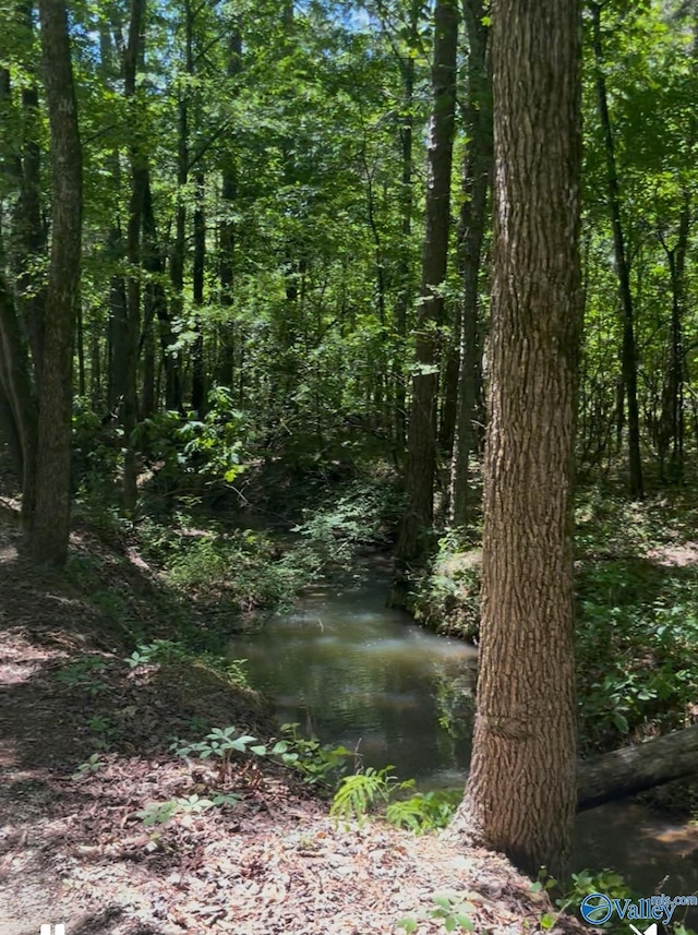 5ACRES Owls Hollow Rd, Gadsden, AL 35901