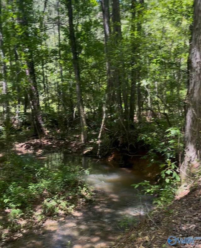 5ACRES Owls Hollow Rd, Gadsden, AL 35901