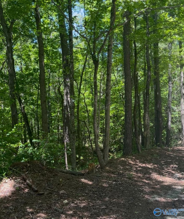 5ACRES Owls Hollow Rd, Gadsden, AL 35901