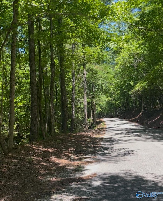 5ACRES Owls Hollow Rd, Gadsden, AL 35901