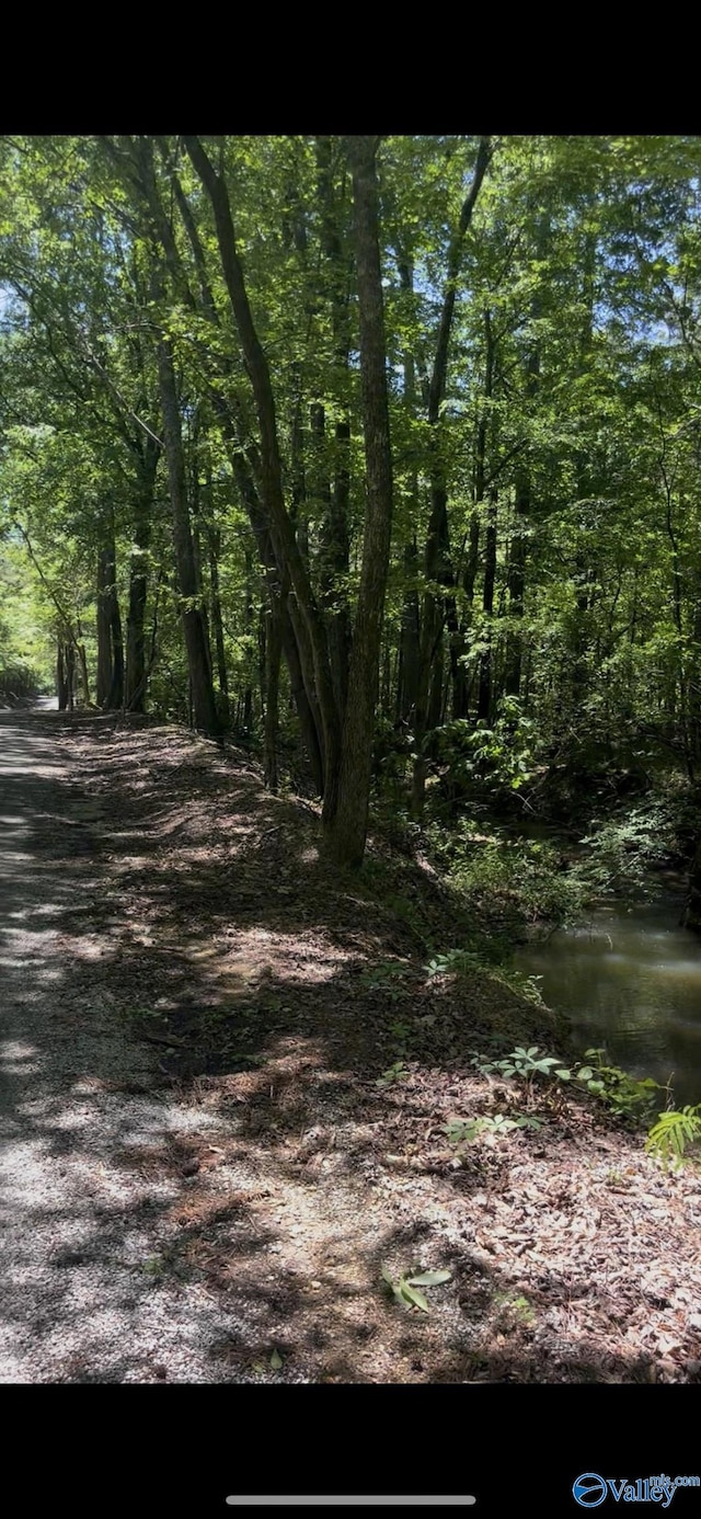 5ACRES Owls Hollow Rd, Gadsden, AL 35901