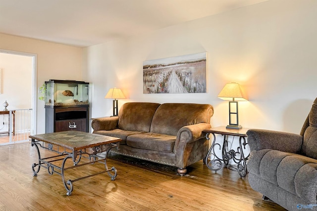 living room with wood-type flooring