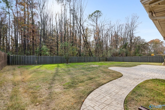 view of yard featuring a patio area