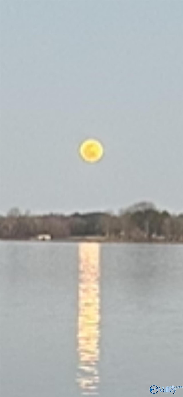 600 County Road 531 Unit 209, Centre, AL 35960 - property view of water