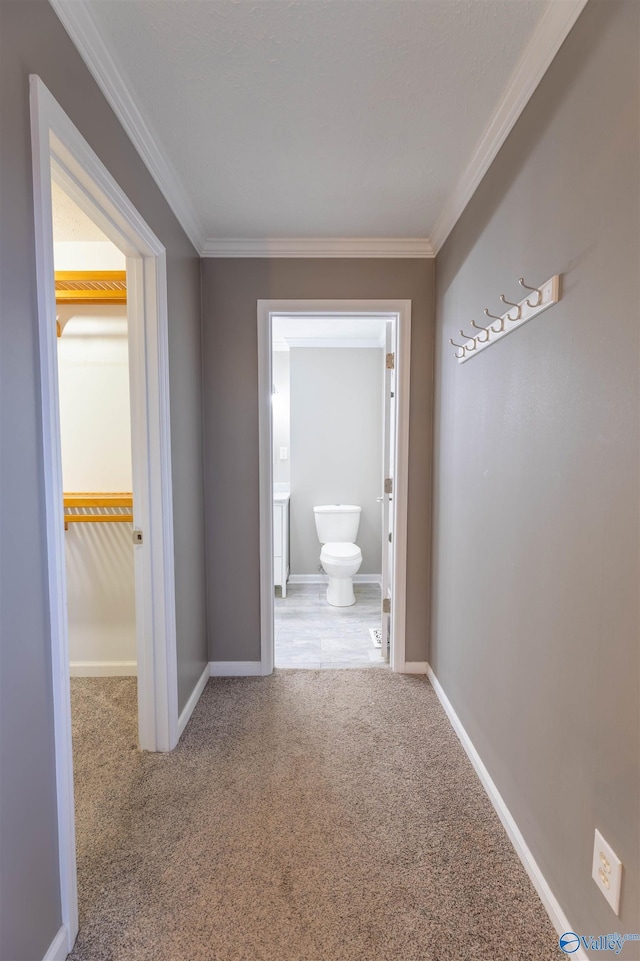 corridor with baseboards, carpet flooring, and crown molding