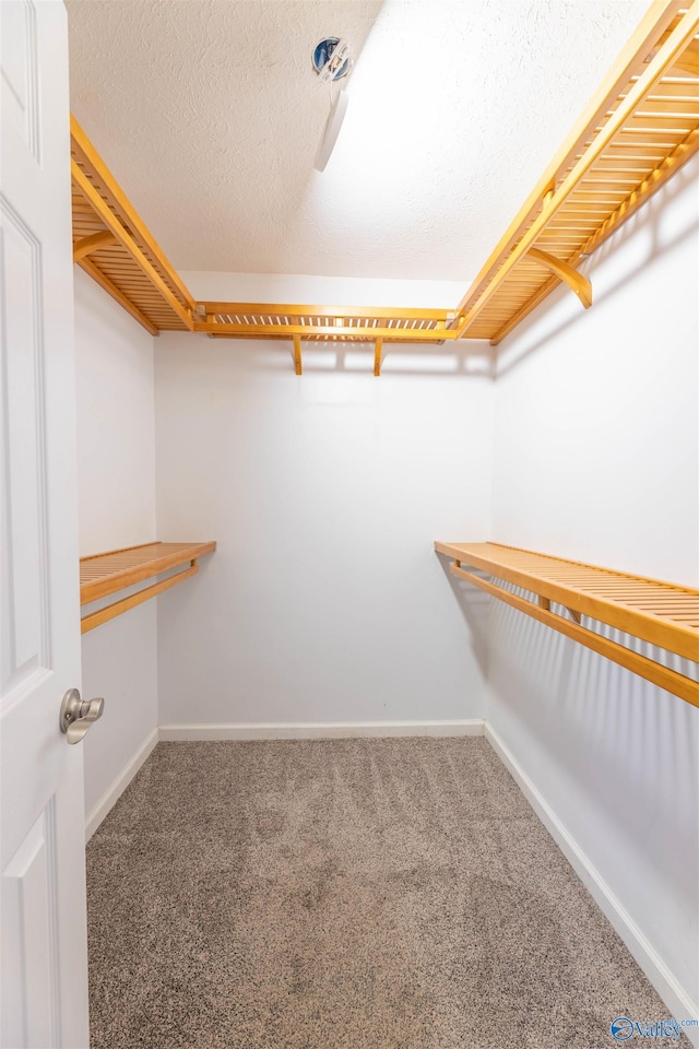 walk in closet featuring carpet