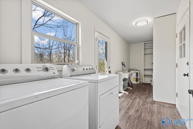 clothes washing area with washing machine and clothes dryer, laundry area, and wood finished floors