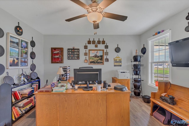 home office with light hardwood / wood-style floors and ceiling fan