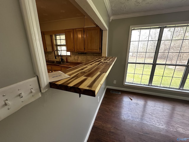 interior space with sink, crown molding, wooden counters, tasteful backsplash, and a textured ceiling
