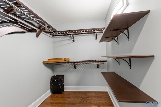 spacious closet with hardwood / wood-style floors