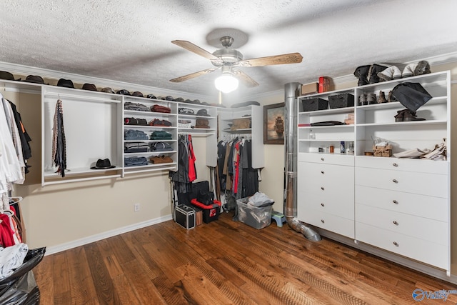 spacious closet featuring dark wood-type flooring and ceiling fan