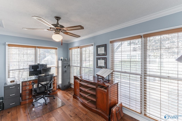 office space with dark wood-type flooring, ornamental molding, a textured ceiling, and a healthy amount of sunlight