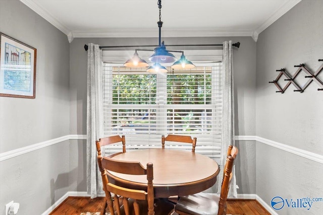 dining room featuring crown molding, baseboards, wood finished floors, and a healthy amount of sunlight