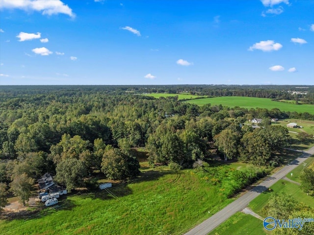 bird's eye view with a forest view