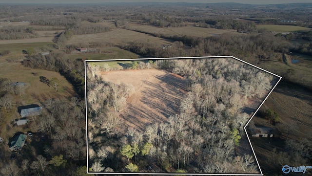 16ACRES Holland Rd, Horton AL, 35049 land for sale