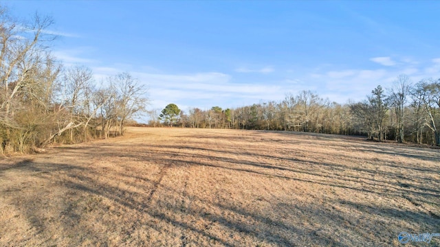 Listing photo 3 for 16ACRES Holland Rd, Horton AL 35049